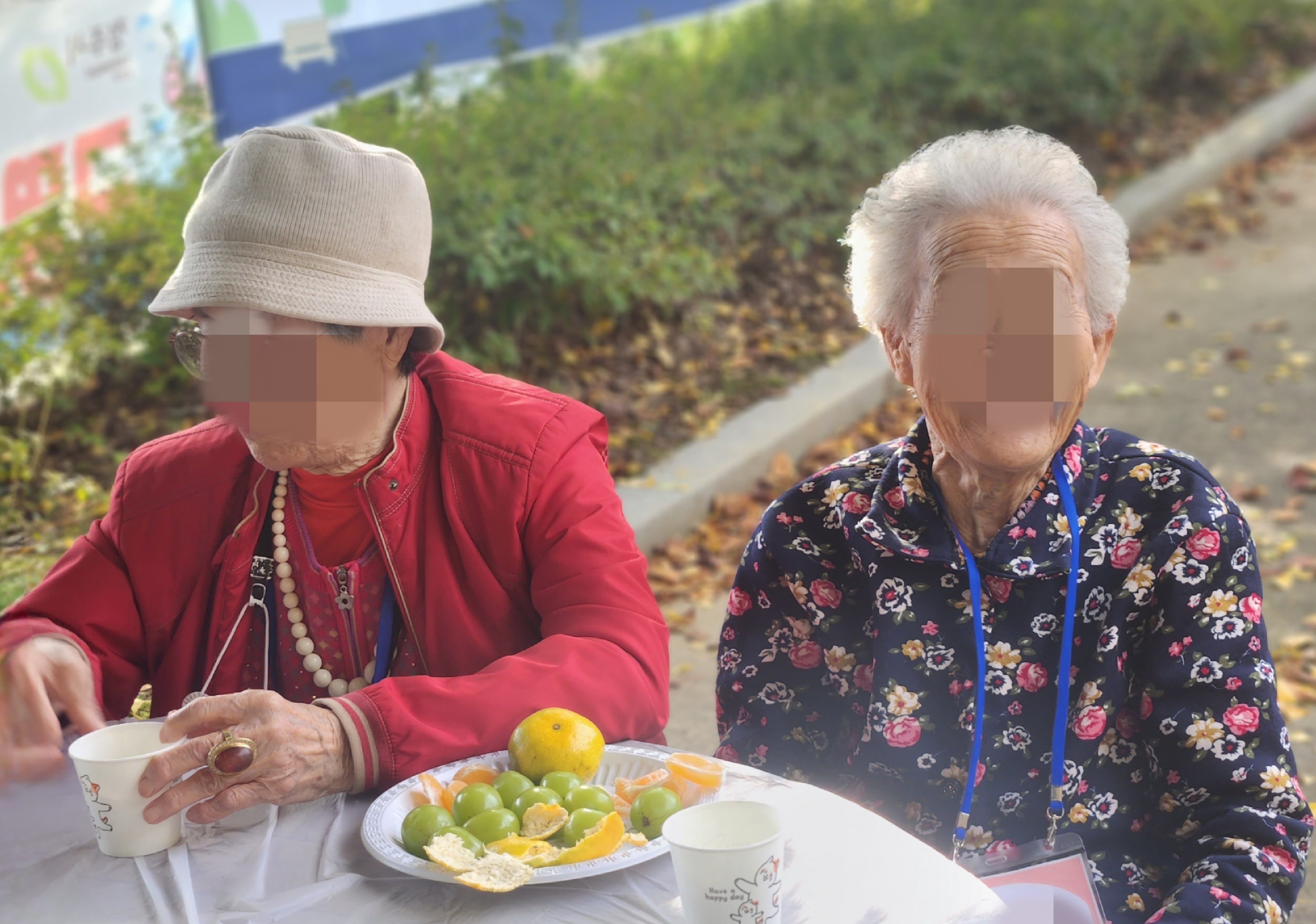 /user/m/miwon/editor/2511/96cb02c5a608f305e648318ca7f6df78_1763183298_111.jpg 이미지크게보기